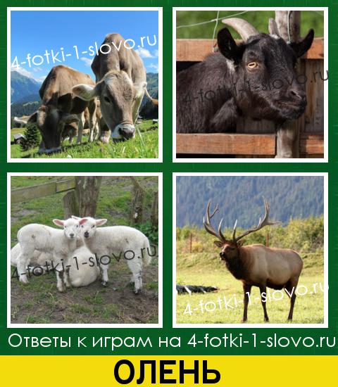 4 Фото Лишнее Ответы Уровень 4